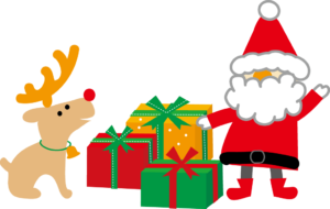 Merry Christmasヽ(*^^*)ノ