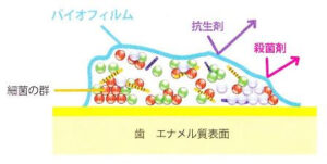 名称未設定 2のコピー