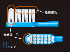 ブラッシングの「質」!!　ブラシの種類について