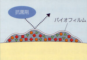 プラークって？？