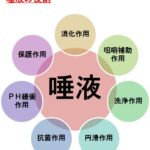 唾液の質について