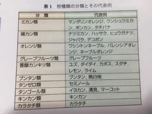 柑橘類