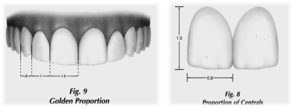 中切歯の黄金比