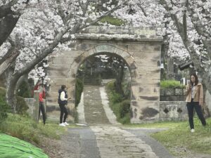 今年のお花見