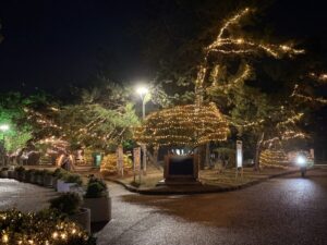 大濠公園ウィンターイルミネーション2024