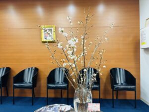 寒さが続きますので気を付けてご来院下さい。今週のお花は桜です🌸