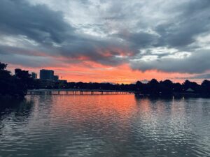 大濠公園ウィンターイルミネーション