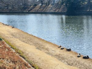 ２月　寒い中ご来院いただく患者さまに感謝申し上げます